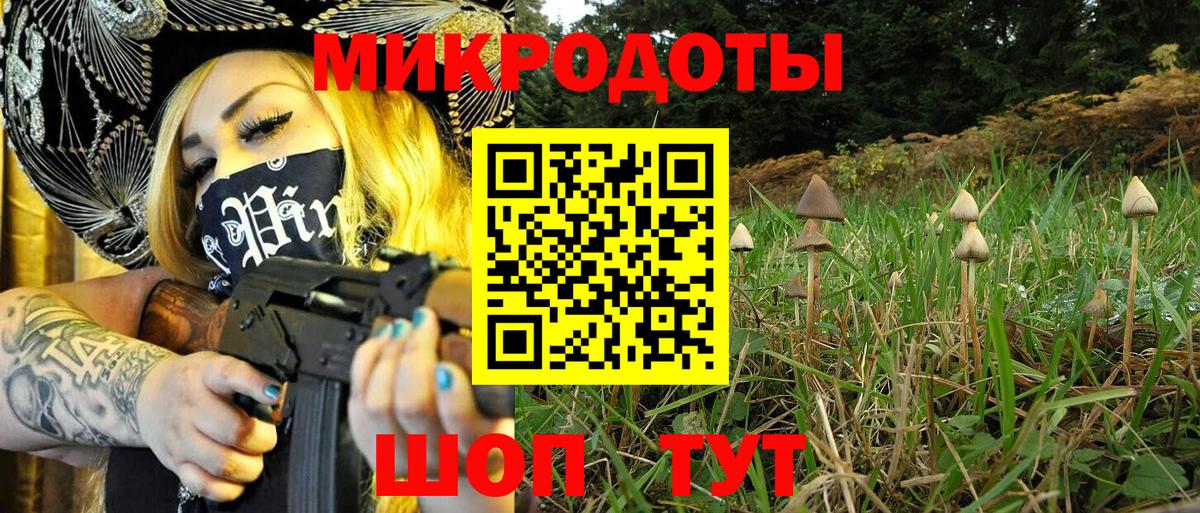 Псилоцибиновые грибы мицелий Ишимбай