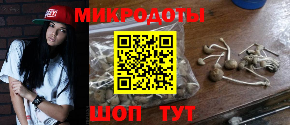 Галлюциногенные грибы прущие грибы  Вход с VPN  Ишимбай  Псилоцибиновые грибы Psilocybine cubensis 